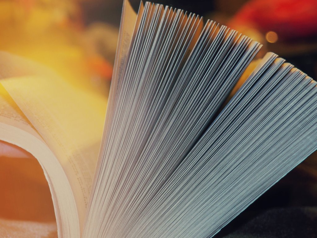 Il punto di vista nel&nbsp;Romanzo